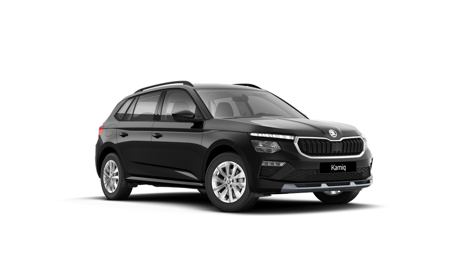 Skoda Kamiq Selection 1,0 TSI (115 KM) 85 kW_6